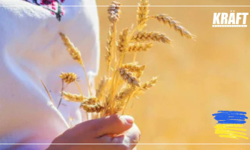 Команда KRAFT поздравляет с Днём Независимости Украины!
